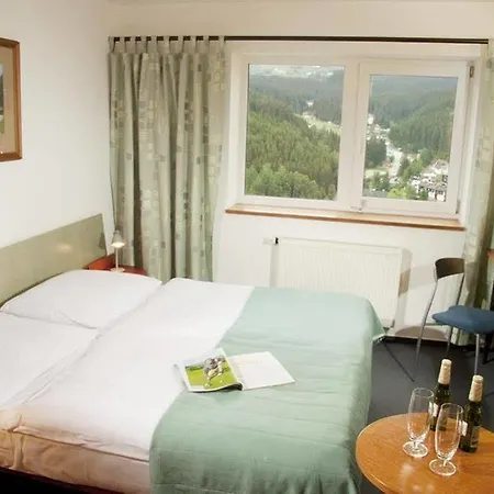 Hotel Horizont